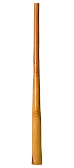 CrookedStixz Didgeridoo (AH244)